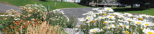 Open green space at Ridgemoor Apartment Homes in Lakewood CO