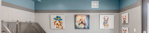 Dog wash station at the Quarry Apartments in DeWitt Michigan