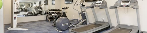 Fitness at Heritage Place Apartments in Grand Rapids, MI