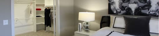 bedroom closet