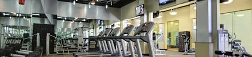 Luxury apartments with huge fitness center with multiple varieties of workout equipment, free weights, yoga and spin rooms at The Lanesborough Apartments in Houston