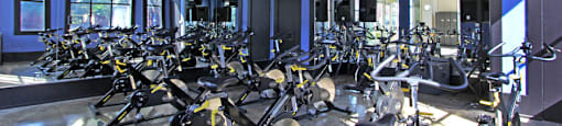 Luxury apartments with huge fitness center with multiple varieties of workout equipment, free weights, yoga and spin rooms at The Lanesborough Apartments in Houston
