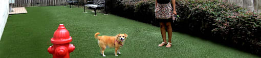 Luxury apartments with off-leash dog park at Tuscany Court Apartments in Houston.