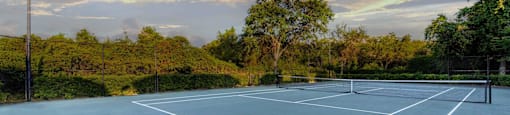 Tennis and Pickleball Court