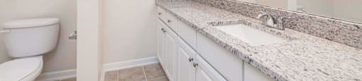 Bathroom with Large Vanity