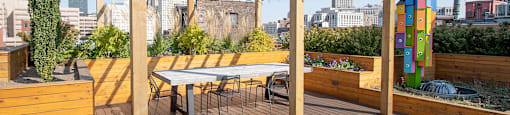 Roof Top Patio 2