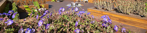 Roof Top Patio