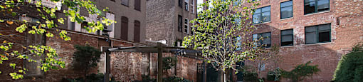 Pet Courtyard