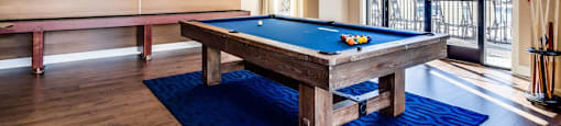 Billiards Table at Water's Edge, Harrison, New Jersey