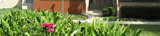 Nice sized patios at The Oaks Apartments, Upland, California