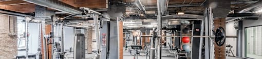 Chicago luxury apartment fitness center gym amenity with treadmills, bikes, boxing punching bags, free weights, and ellipticals