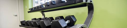 the weights rack in our state of the art gym