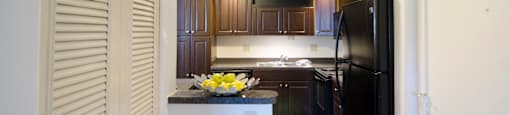 Spacious Kitchen in East Lansing Apartments near Michigan State University | The Pines