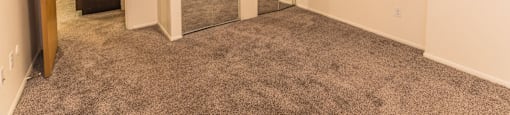 Spacious bedrooms in East Lansing Apartments near Michigan State University | Waters Edge