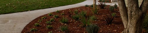 Exterior buildingd view with sidewalk at PARKSIDE BRENTWOOD, Brentwood, 94513