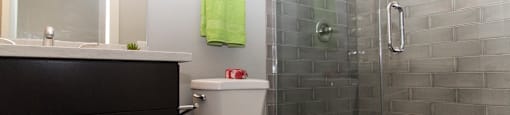 753 Buckingham Bathroom
