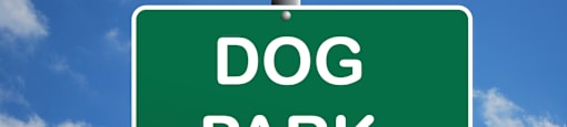 Dog Park