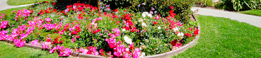 Flower beds and balcony view