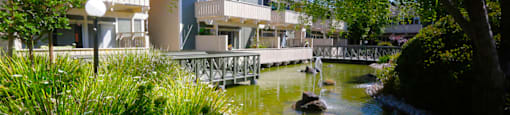 Main pond and water fountain