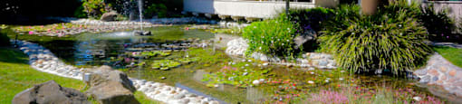 Main ponds
