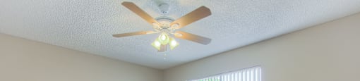 Ceiling Fan at Joro Properties, Hollywood, CA