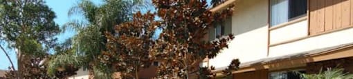 at Kenyon Pointe, Tustin, 92780