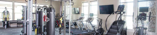 the estates with gym equipment