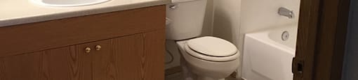 Bathroom at VINTAGE AT BREMERTON, Bremerton, WA, 98310