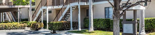 Trees at SERRANO HIGHLANDS APARTMENT HOMES, Lake Forest, California