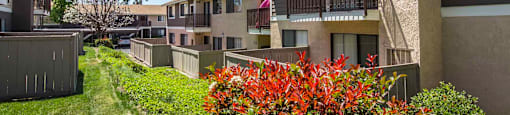 Flowers at SERRANO HIGHLANDS APARTMENT HOMES, Lake Forest, 92630-7006