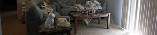 Couch at Trenton Place Apartments, Willoughby, 44094