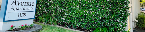 Prodesse Property Group 1135 Bird Avenue San Jose, CA 95125Opens in a new tab
Phone Number(408) 995-0525