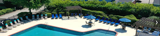Cool off this summer at the Haven at Research Triangle Park's Sparkling Swimming Pool