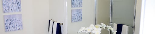 Luxurious Bathroom at Poplar Creek Apartments, Brookfield, Wisconsin