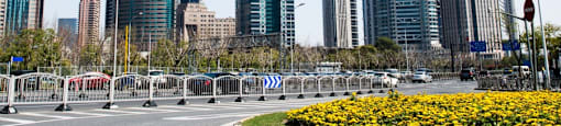 A cityscape with tall buildings and a roundabout with yellow flowers in the foreground.