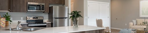 Two Bedroom Kitchen and Living Room