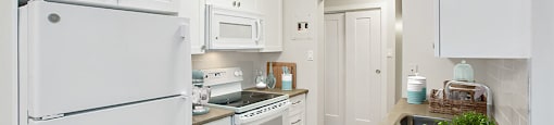 Chestnut Court kitchen with fridge, stove and dishwasher in St. Thomas, ON