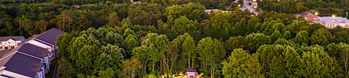 Langley Pointe Apartments | Located within Minutes to Lexington Medical Center