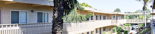 Elevated view of inside of community with tropical landscaping