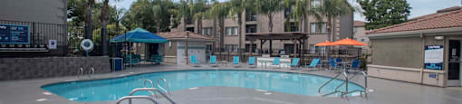 Hot Tub And Swimming Pool at Bella Vista Apartments