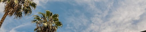 Palm trees against a blue sky with clouds.