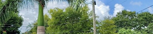 Park Place Villas sign with towering palm tree and lush landscaping