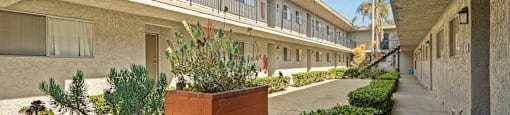 A courtyard with a brick planter and a sign that says Front Management.