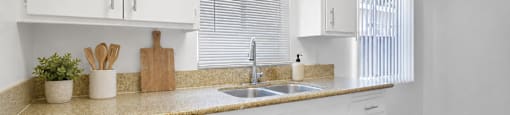 A kitchen with white cabinets and a countertop with a sink and a plant on it.