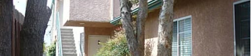 A tree is in front of a house.