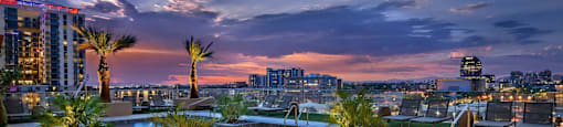 A rooftop pool with palm trees and a city skyline at dusk.