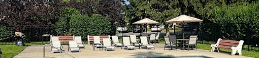 A large swimming pool surrounded by trees and lounge chairs.