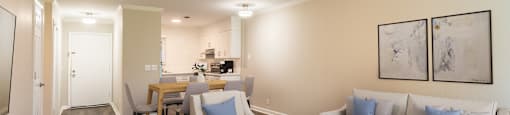 Living Room and Kitchen Space
