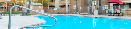 Tanglewood pool view with relaxation area and tall trees surrounding