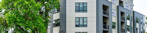 A modern building with a tree in front of it.